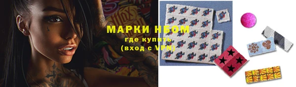 PSILOCYBIN Липки
