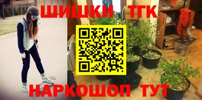 прущие грибы Гусь-Хрустальный
