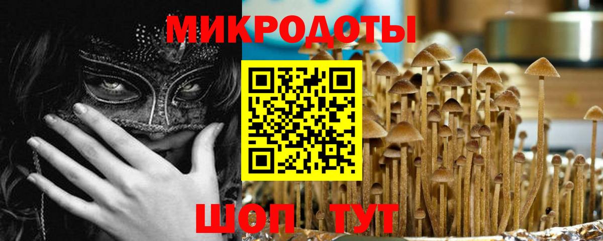 Галлюциногенные грибы GOLDEN TEACHER Красногорск