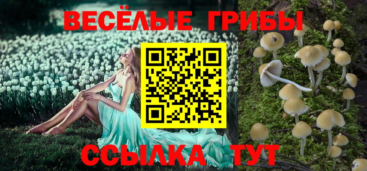Красногорск  Галлюциногенные грибы мухоморы  Вход с VPN  Галлюциногенные грибы Psilocybine cubensis 